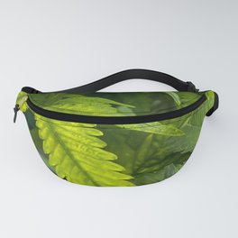 Cannabis Leaves Fanny Pack
