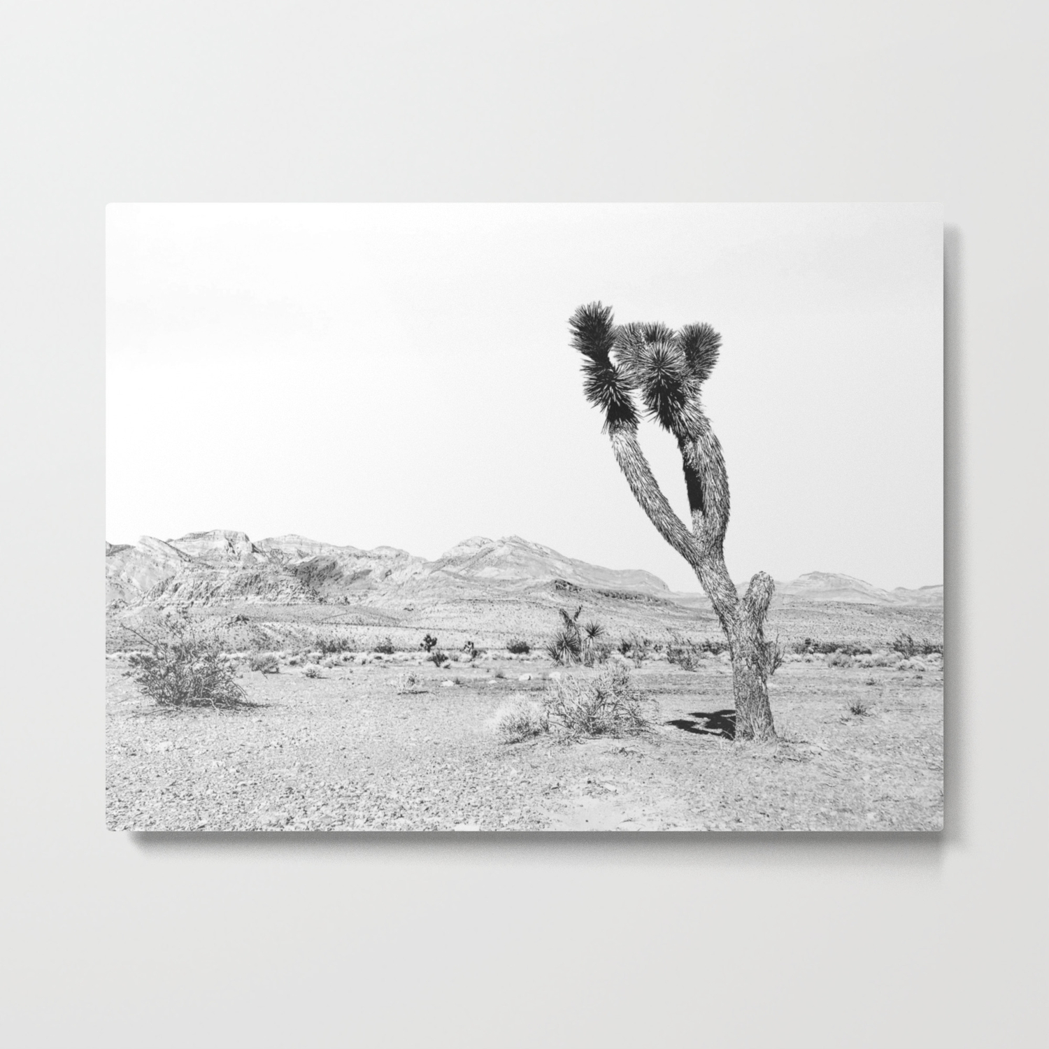 Vintage Desert Scape B W Cactus Nature Summer Sun Landscape Black And White Photography Metal Print