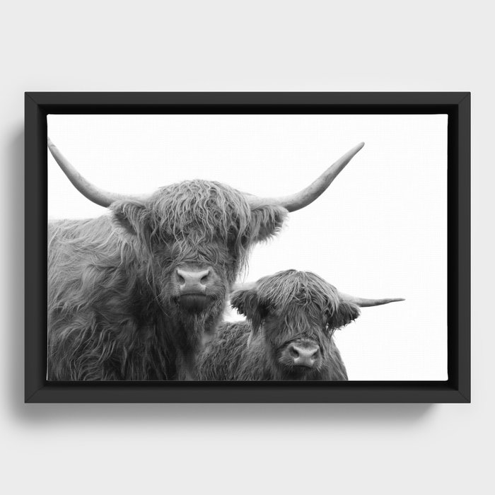 Framed Canvas