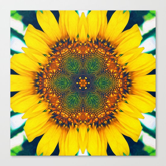 Structure of A Sunflower Canvas Print