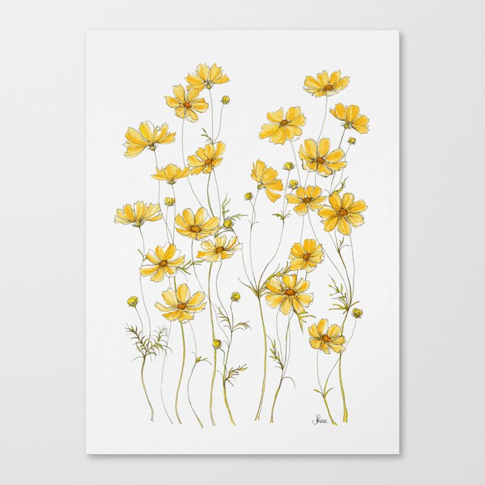 Yellow Cosmos Flowers Leinwanddruck