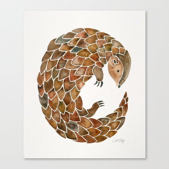 Pangolin Canvas Print