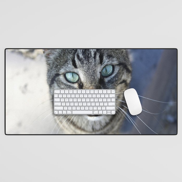 I Follow My Whiskers Tabby Cat Photography Desk Mat