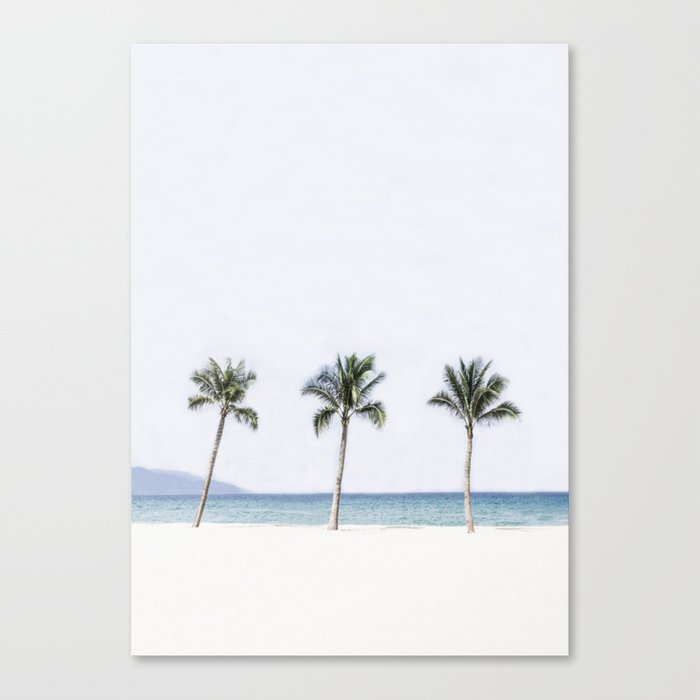 Palm trees 6 Canvas Print