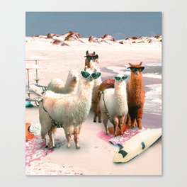 Funny Llama Beach Canvas Print