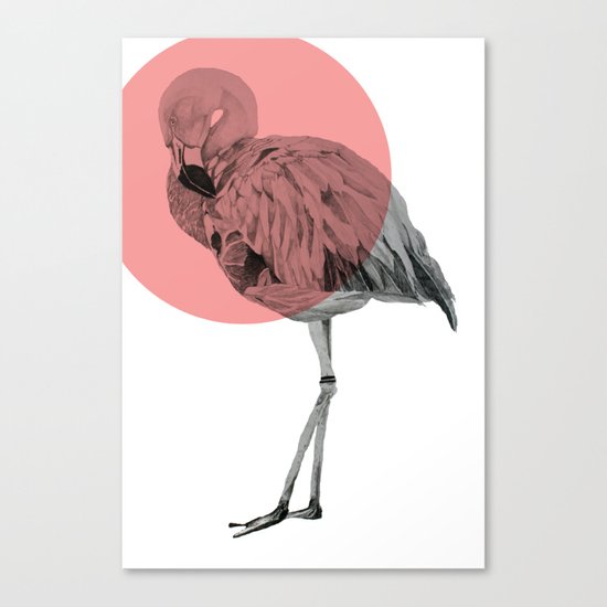 flamingo Canvas Print