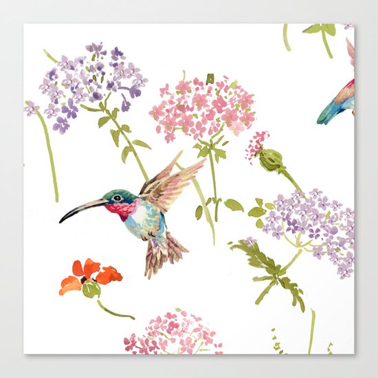 Hummingbird floral Canvas Print