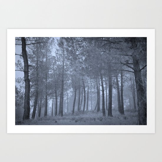 the forest attracts me to get inside Art Print