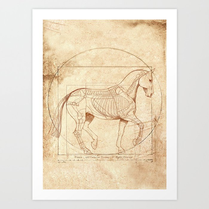 Da Vinci Horse In Piaffe Art Print