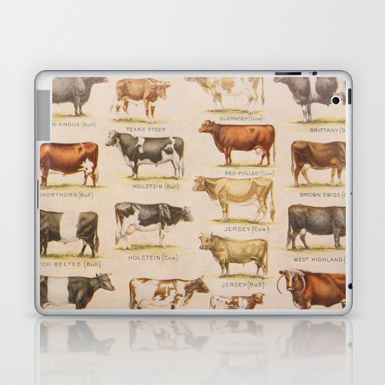 Bulls And Cows Laptop & iPad Skin