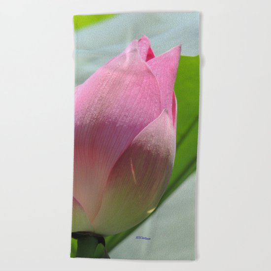Lotus Bud in West Lake Beach Towel