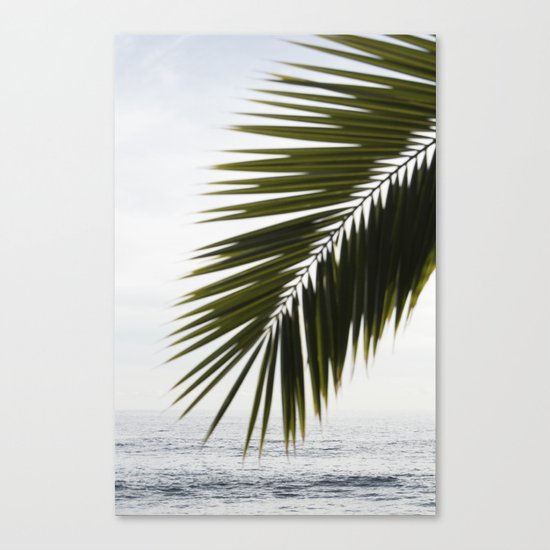 Beach Palm Canvas Print