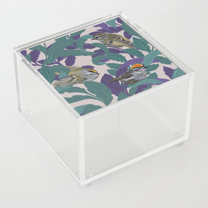 Tale of the Kinglets Acrylic Box