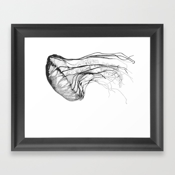 Medusozoa Framed Art Print