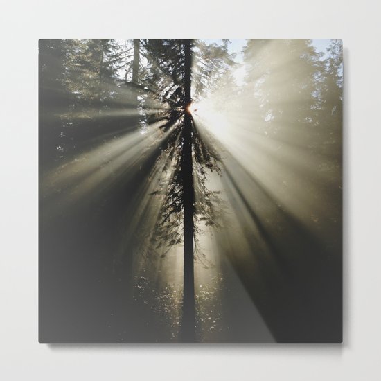 Umpqua Rays Metal Print