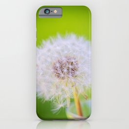 Dandelion - macro iPhone Case