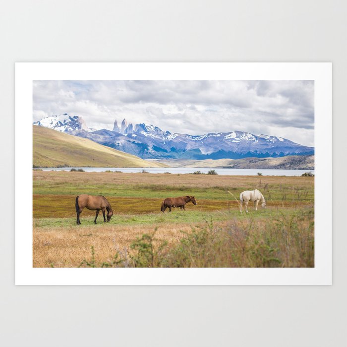 Torres del Paine - Wild Horses Art Print