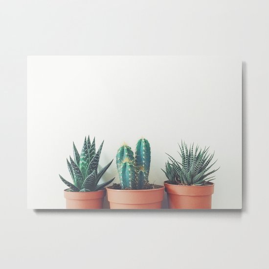 Potted Plants Metal Print