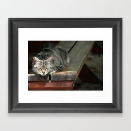 Time for a Cat Nap Framed Art Print