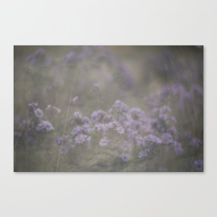 "and through the fog she found the flowers—and she was set free…" Canvas Print