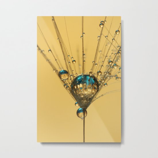 Solitary Sparkles Metal Print