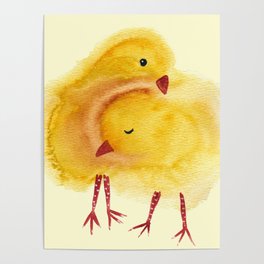 Baby Chickens Poster