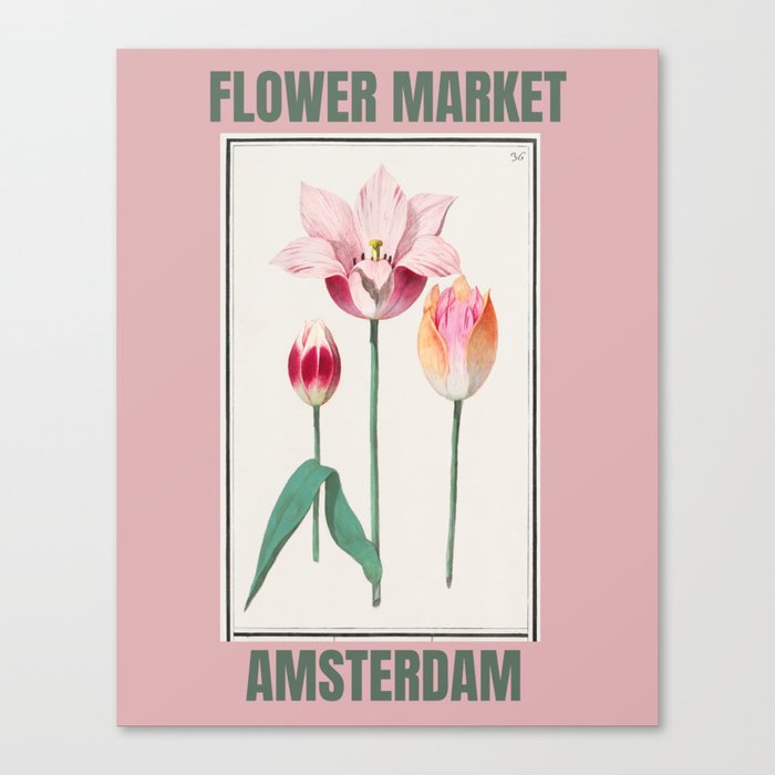 Flower Market Amsterdam Vintage Pink Tulip Floral Canvas Print