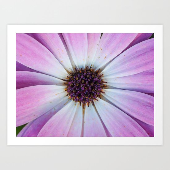 Purple Flower Art Print