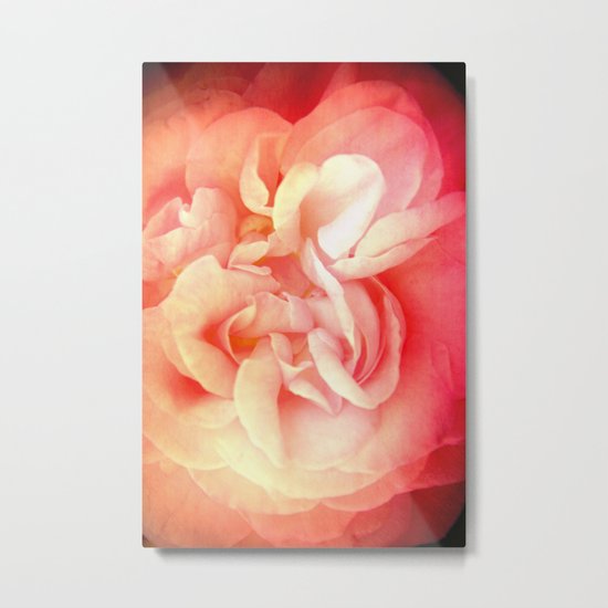 Bed of Roses Metal Print