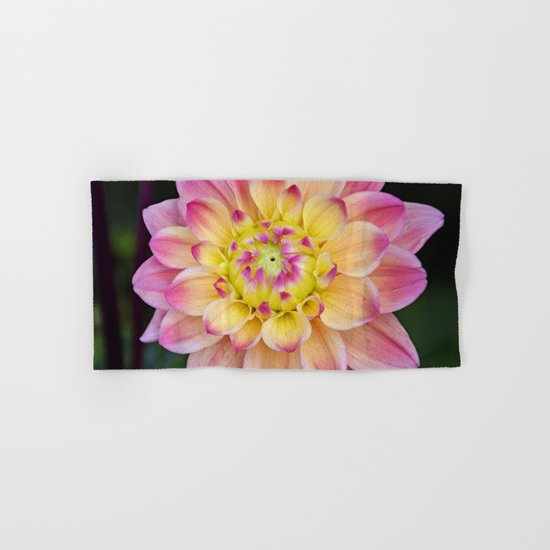 Pink Yellow Dahlia Close up Hand & Bath Towel