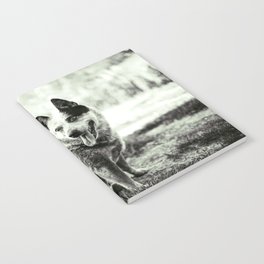 Maju #1 - Dog Blue Heeller Notebook