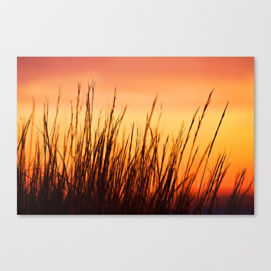 Enjoy the Warmth Canvas Print