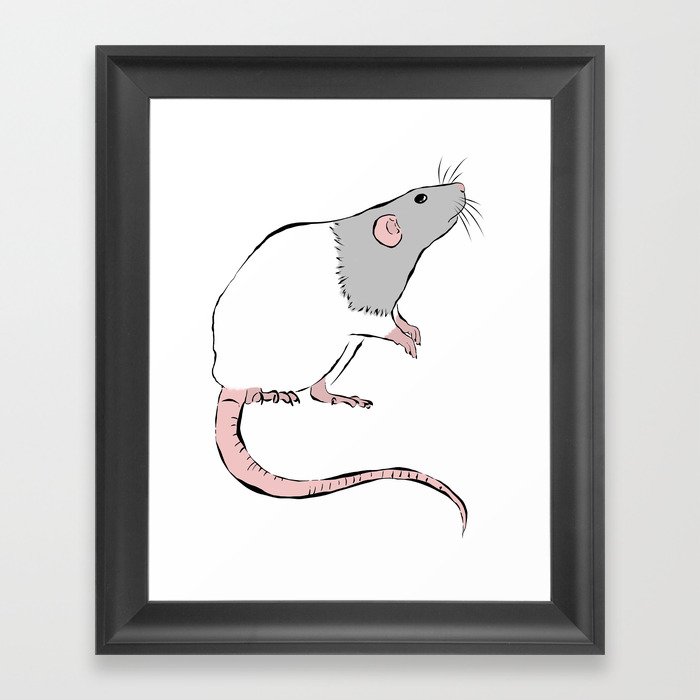 Rattie Framed Art Print