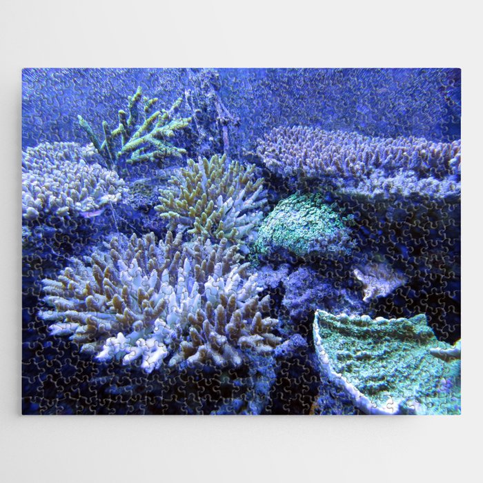 Coral Reef Jigsaw Puzzle