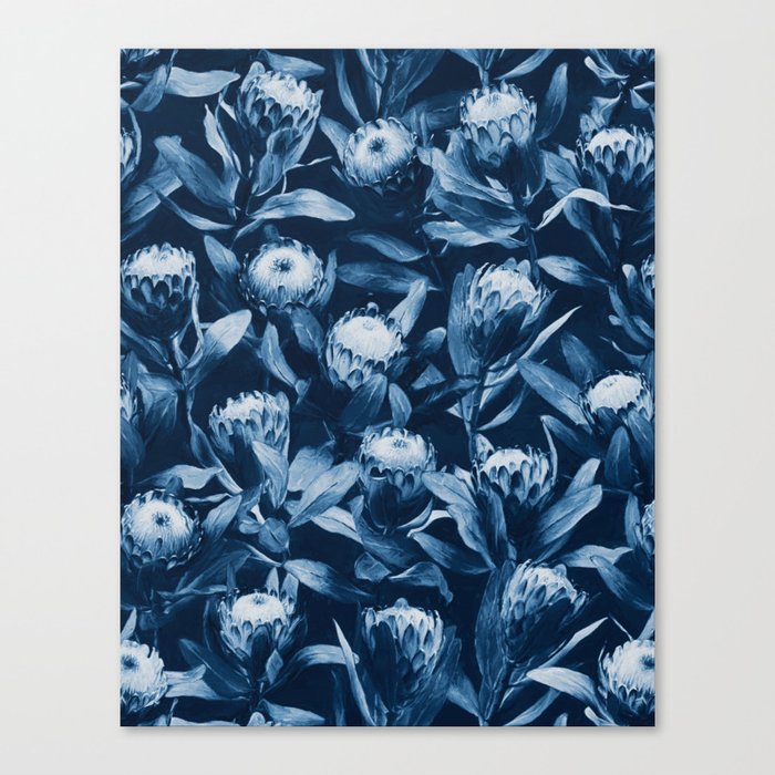 Evening Proteas - Denim Blue Canvas Print