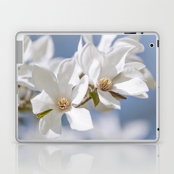 White Magnolia Laptop & iPad Skin