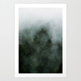 Forest Shadows | Nautre and Landscape Photography Art Print