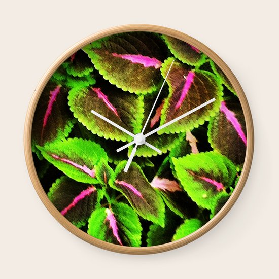 Coleus Wall Clock