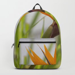 PARADISE Backpack | Photo, Birdofparadise, Digital, Nature, Flower 