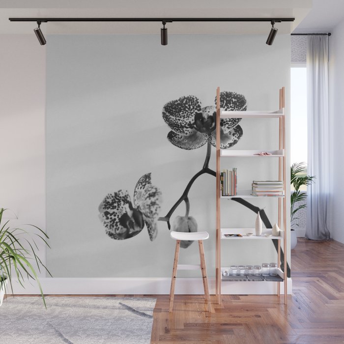 Simply a Orchid Flower in Black & White Photo Wall Mural