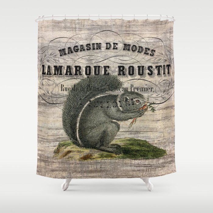 French Country Scripts Fall Autumn Woodland Animal Grey Squirrel