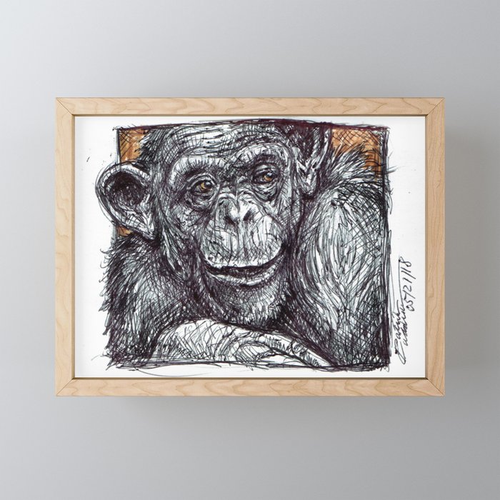 Bonobo Framed Mini Art Print | Drawing, Ink-pen, Colored-pencil, Marker, Chimpanzee, Bonobo, Ape, Wildlife