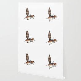 Skydiver Squirrel Wallpaper