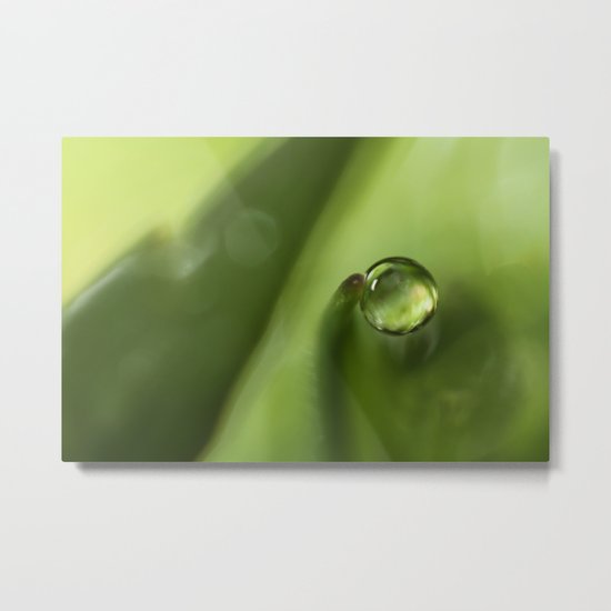 A Drop of Rain Metal Print