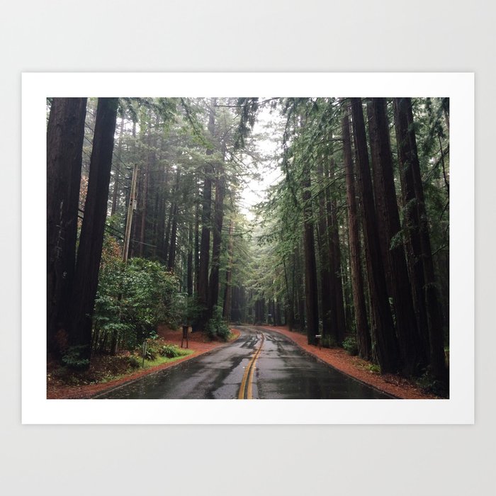 Road through the Redwoods Art Print