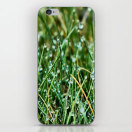 Scottish Highlands Spring Dew in I Art iPhone Skin