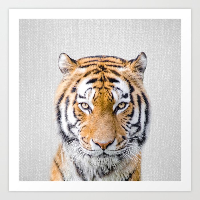 Tiger - Colorful Art Print