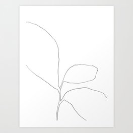 Three Leaf Seedling - Minimalist Botanical Line Drawing Art Print