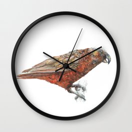 New Zealand parrot, the Kaka Wall Clock | Aotearoa, Watercolor, Ink, Parrot, Bird, Kiwi, Other, Art, Painting, Kaka 