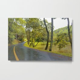 On The Road Metal Print | Nature, Road, Arvore, Botanic, Digital, Photo, Beautiful, Estrada, Trees, Lagoon 
